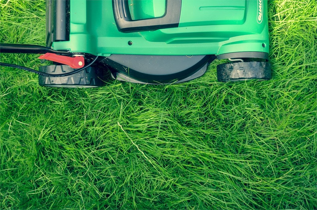 ¡Prepara tu jardín para disfrutar este verano!