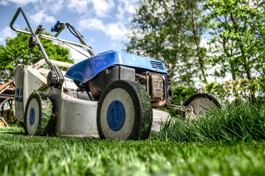 Prepara tu jardín y piscina para la llegada de la primavera